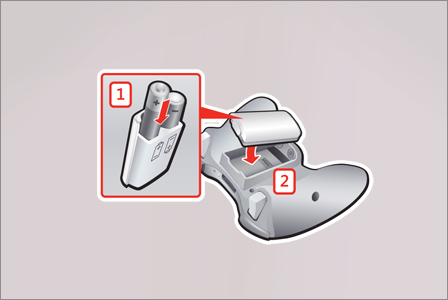 MS Manual Illustrations